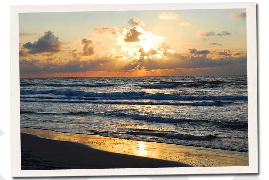 terschelling island